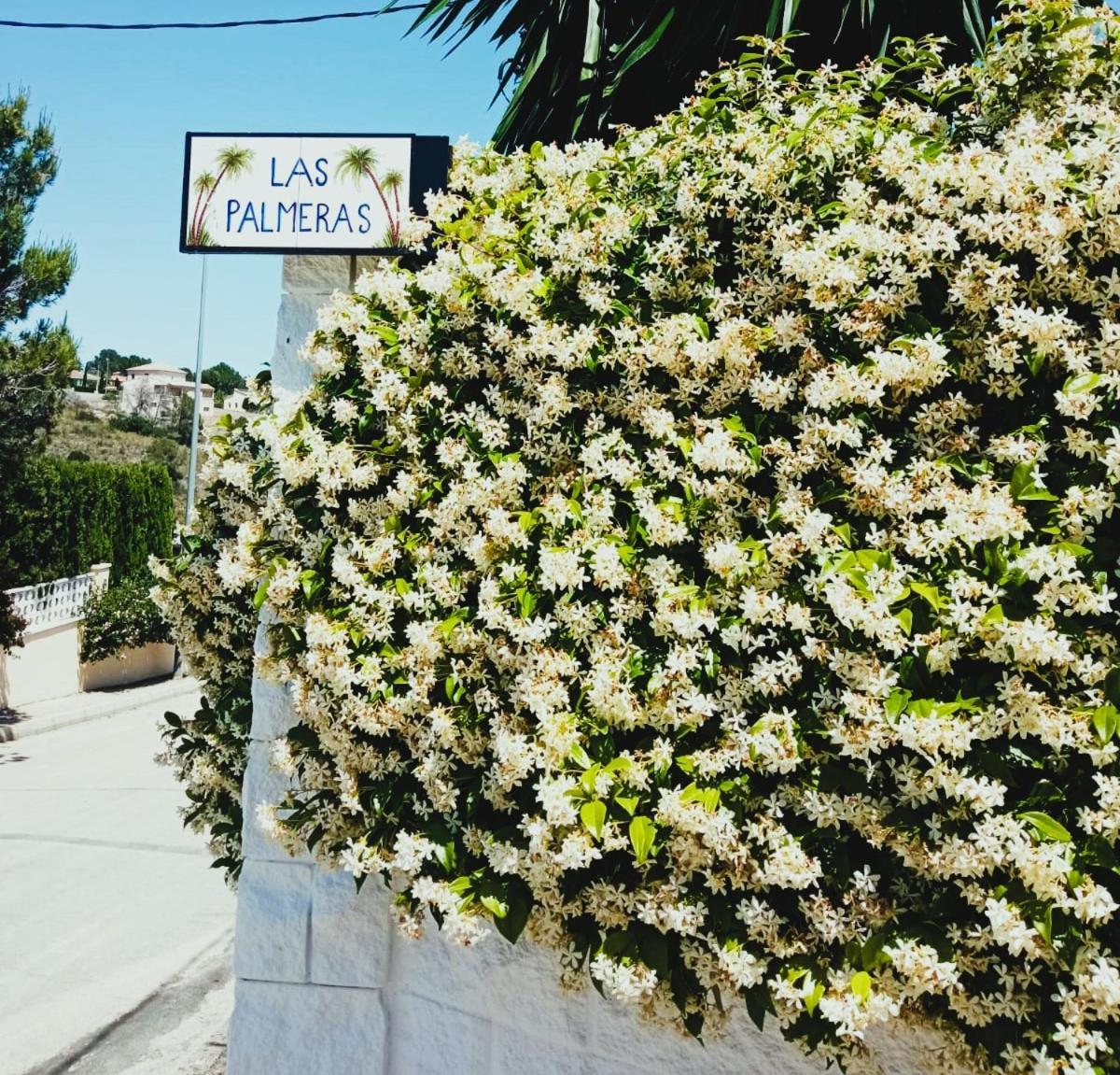 Las Palmeras Alberic Kültér fotó